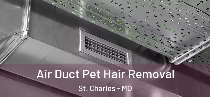 Air Duct Pet Hair Removal St. Charles - MO