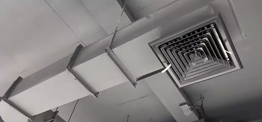 Our Pest Removal From Ducts Services in St. Charles, MO