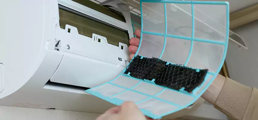 Gentle Ductwork Odor-Control Pet Dander Duct Cleaning in St. Charles, MO