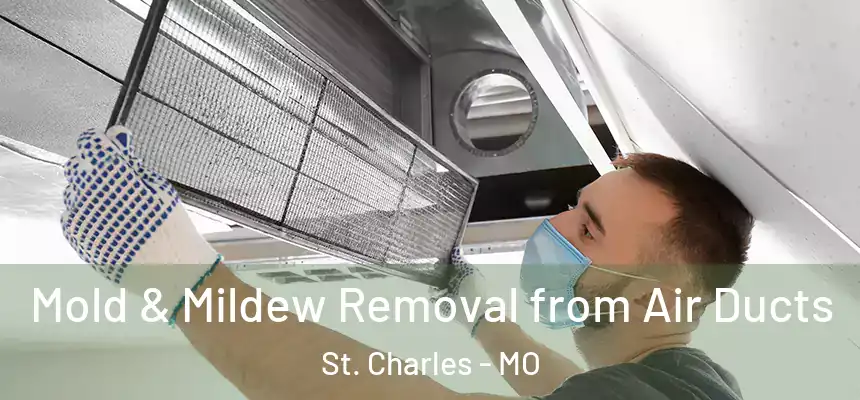  Mold & Mildew Removal from Air Ducts St. Charles - MO
