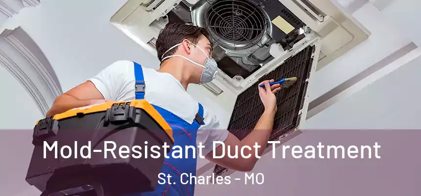  Mold-Resistant Duct Treatment St. Charles - MO