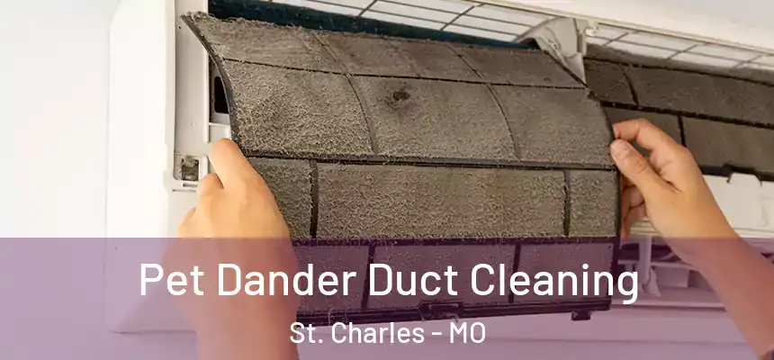  Pet Dander Duct Cleaning St. Charles - MO