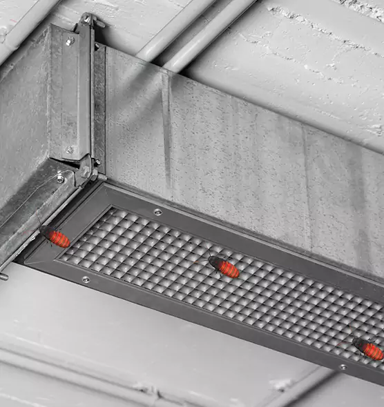 About Air Duct Cockroach Removal in St. Charles, MO