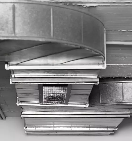 Professional Air Duct Pest Removal in St. Charles, MO