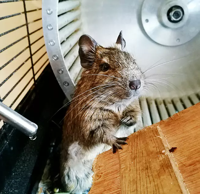 Why Homeowners & Businesses Trust Us St. Charles, MO