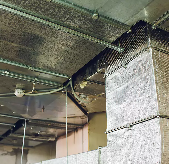 Why Homeowners & Businesses Trust Us in St. Charles, MO?